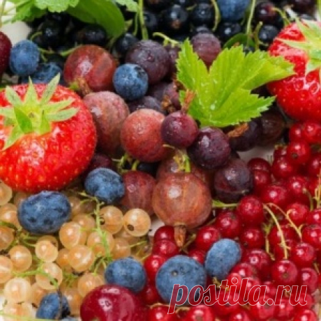 Какие вкусности из ягод можно заготовить на зиму
