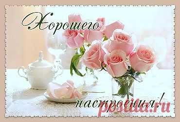 Как избавиться от тли?.... и муравьев!.