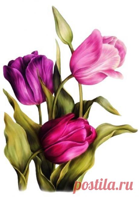 Пин на доске яТЮЛЬПАНЫ