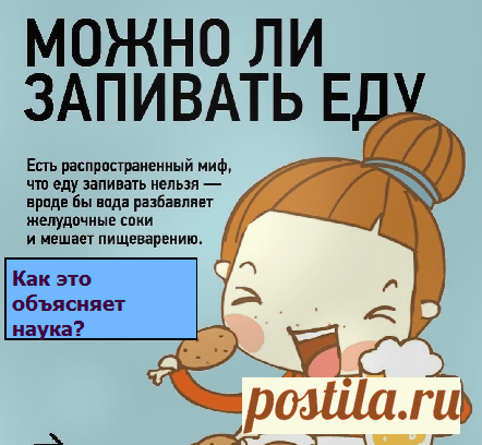 Можно ли запивать еду? | Советы целительницы