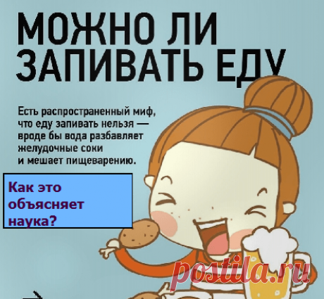 Можно ли запивать еду? | Советы целительницы