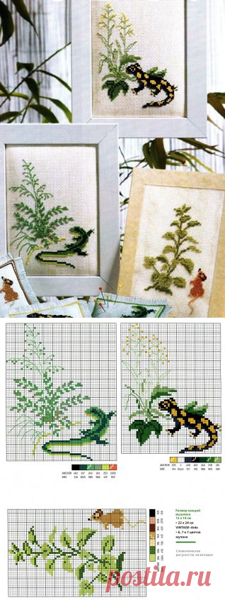 Ящерицы крестом | Жозефина