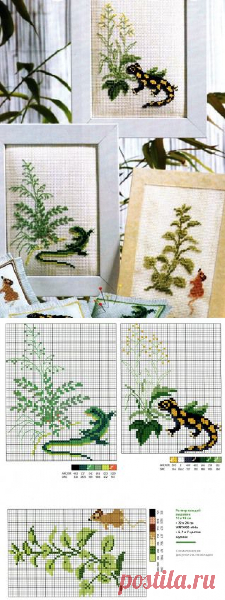 Ящерицы крестом | Жозефина