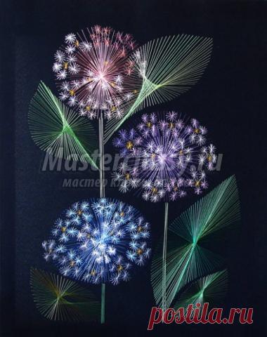 Изонить с цифрами. Подробные и бесплатные схемы / Мастерклассы Блоги