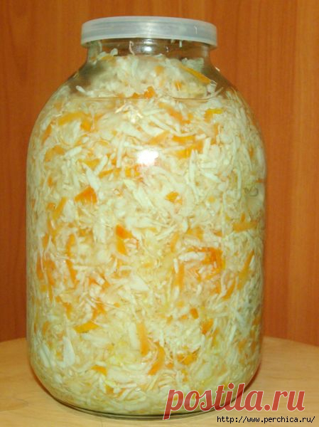 Лучшая квашеная капуста в банках