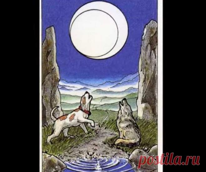 Как можно гадать: Таро луна в сочетании с другими картами? Аркан Таро Луна — значение карты в любви и отношениях; сочетание с другими картами колоды. Луна аркан Таро — значение в сочетании с другими картами 100% Гадания и предсказания При гадании в основном указывает на обман и лож, опасности для того, кому делается расклад. Сейчас для личности наступил нестабильный период, полный колебаний