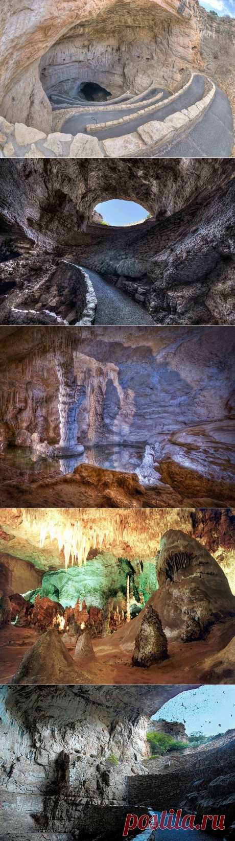 Роскошные Карлсбадские пещеры / Туристический спутник