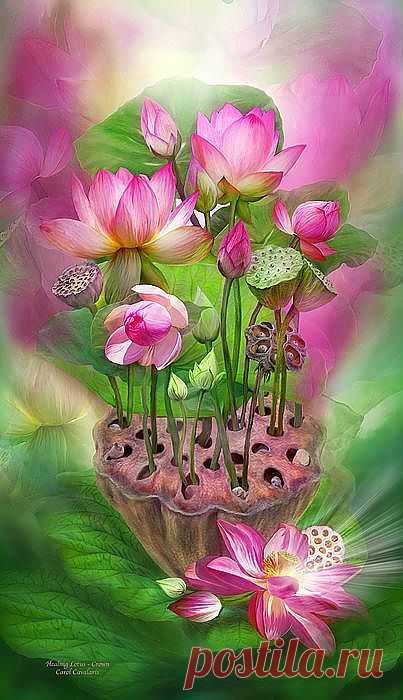 Healing Lotus - Crown Mixed Media by Carol Cavalaris - Healing Lotus - Crown Fine Art Prints and Posters for Sale