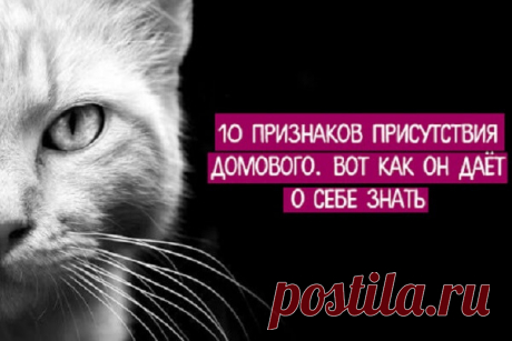 10 признаков присутствия домового. Вот как он даёт о себе знать | Tanfest