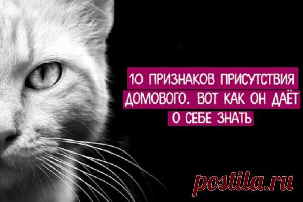 10 признаков присутствия домового. Вот как он даёт о себе знать | Tanfest