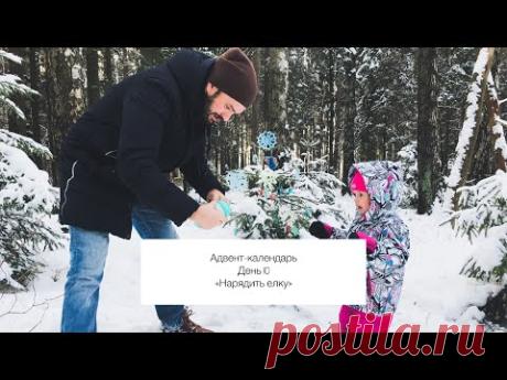 Какую выбрать ёлку? Лесную! | dadknowhow. С папой интересно | Яндекс Дзен