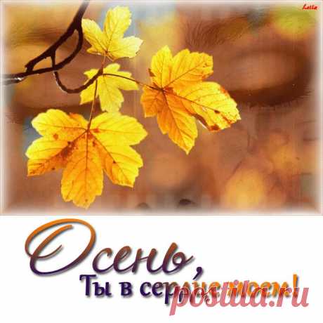 Осень - Анимация Gif - Красивая Анимация