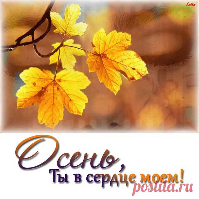 Осень - Анимация Gif - Красивая Анимация
