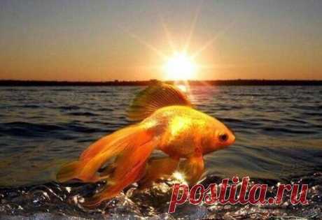 ЧТОБЫ НАЙТИ РАБОТУ 
Позволяет получить конкретную, нужную вам работу, или работу в интересующей вас области деятельности. Делать в первую ночь растущей луны, сразу после новолуния. 
Вам понадобится: зеленая свеча, лавровый лист (лучше с ягодами), сосновое масло или масло бергамота, мелкая бумажная купюра, листок белой бумаги. Подожгите в металлической или глиняной миске несколько лавровых листьев. Для лучшего горения можно смешать их со спичками и мелкой бумагой. 
На свече в верхней части нацар