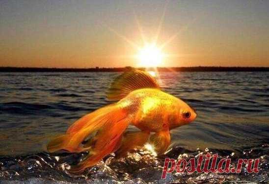 ЧТОБЫ НАЙТИ РАБОТУ 
Позволяет получить конкретную, нужную вам работу, или работу в интересующей вас области деятельности. Делать в первую ночь растущей луны, сразу после новолуния. 
Вам понадобится: зеленая свеча, лавровый лист (лучше с ягодами), сосновое масло или масло бергамота, мелкая бумажная купюра, листок белой бумаги. Подожгите в металлической или глиняной миске несколько лавровых листьев. Для лучшего горения можно смешать их со спичками и мелкой бумагой. 
На свече в верхней части нацар