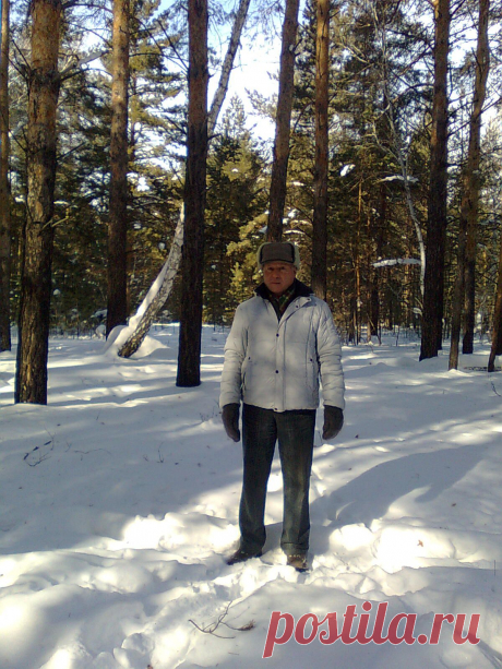 Сосновый бор - 2013 .