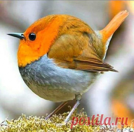 (20+) Carmo Martins | Facebook