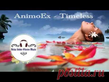 AnimoEx - Timeless - YouTube