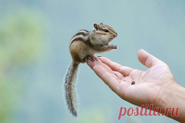 ФОТО | удачные кадры, путешествия, природа