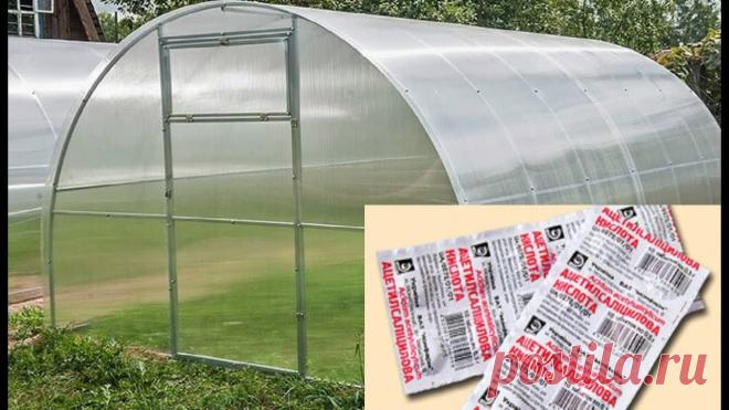 284. ПОДГОТОВКА ТЕПЛИЦЫ К ВЕСНЕ. Обеззараживания грунта дешевым средством. Это видео о том, как подготовить теплицу к дачному сезону. Чем помыть стены в теплице и каким  дешевым средством из аптеки можно обеззаразить землю.Я в Insta...
