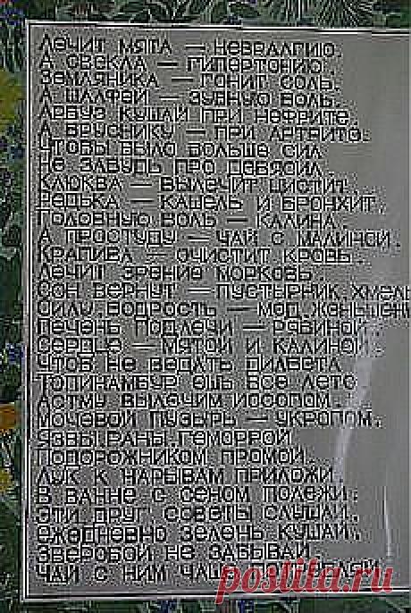 Популярное | Postila.ru