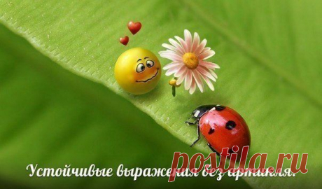 Устойчивые выражения без артикля / Неформальный Английский