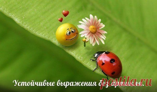 Устойчивые выражения без артикля / Неформальный Английский