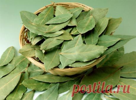 Маски от носогубных складок в домашних условиях