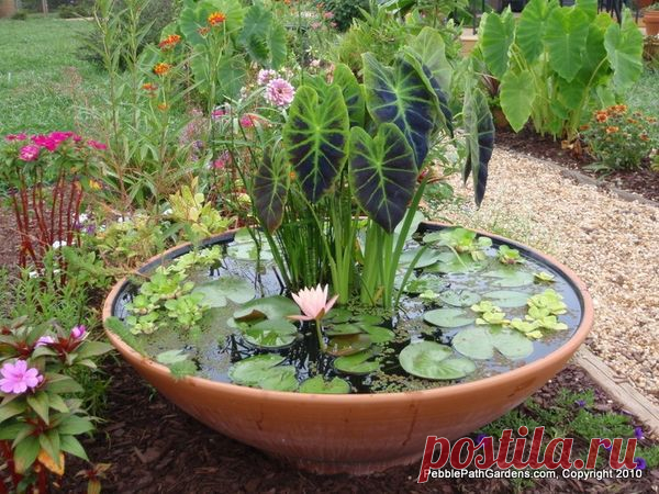 Водоем в миниатюре: дюжина простых идей / водоемы / 7dach.ru