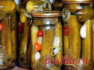 15 лучших рецептов огурцов на зиму! 
Все тайны хорошего урожая в "Дачных хитростях". 
Более подробно можете узнать по ссылке ──►   ok.ru/garden.ideas