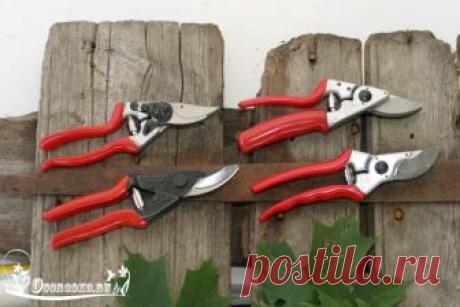 Секатор садовый – как выбрать и что лучше купить