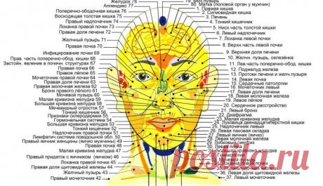 Как болезни наших внутренних органов связаны с реакцией кожи на лице и теле? | bomba.co