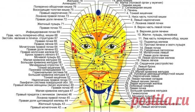 Как болезни наших внутренних органов связаны с реакцией кожи на лице и теле? | bomba.co