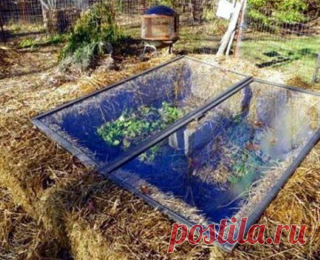 Самый простой вариант парника