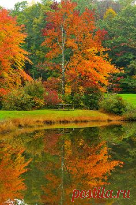 First Fall Color Reflections....so beautiful!!