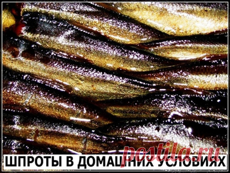 Как приготовить шпроты. - рецепт, ингредиенты и фотографии