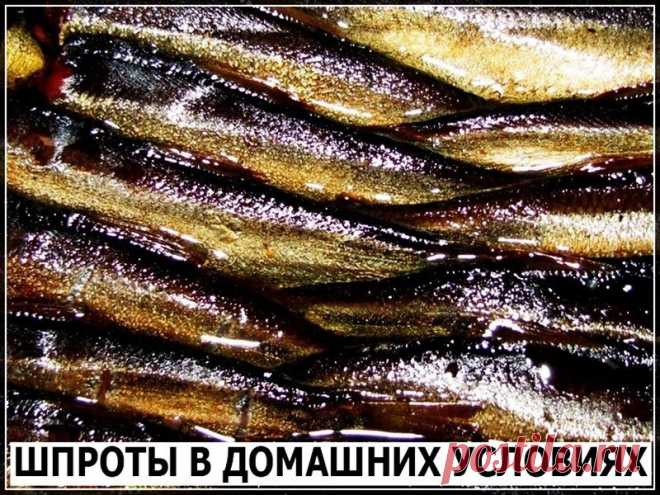 Как приготовить шпроты. - рецепт, ингредиенты и фотографии