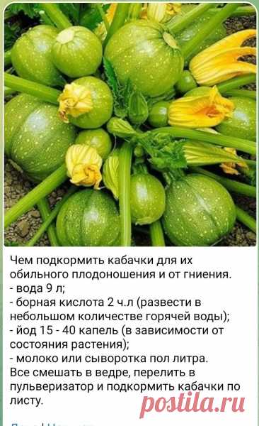 Пин на доске сад и огород