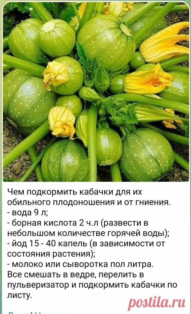 Пин на доске сад и огород