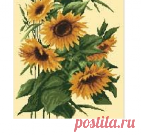 Подсолнухи на счастье.