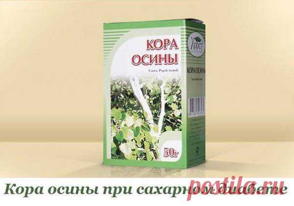 КОРА ОСИНЫ ПРИ САХАРНОМ ДИАБЕТЕ.