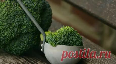 Онколог перечислил выводящие канцерогены продукты - Русская планета - медиаплатформа МирТесен