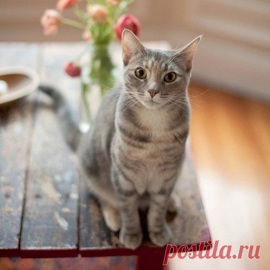 Берегите природу