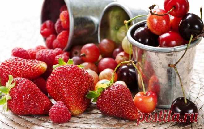 Хранение ягод и фруктов | Рецепты Kashevarnya