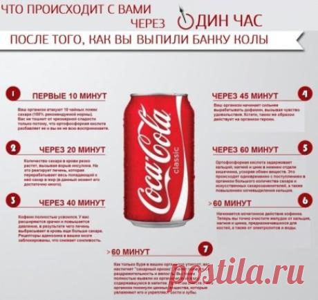 Как влияет кола на наш организм?
Думаю многие слышали, что популярный напиток кола приносит вред здоровью, однако мало кто знает «как именно?».
Рассмотрим поэтапно, что происходит с нашим организмом при употреблении 1 баночки колы. В первые 10 минут сахар из колы производит мощнейший удар по организму. В обычном случае такая передозировка сахара вызывает рвоту, но так как кола очень хитрая смесь, она содержит фосфорные кислоты, которые предотвращают рвоту. Из-за такого нео...