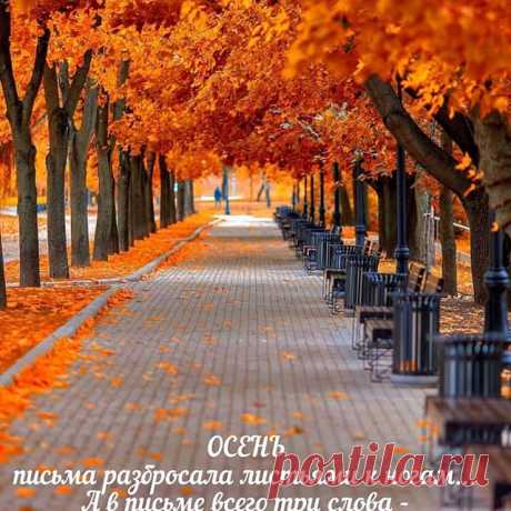 Photo by Марина Алекминская in Дальний восток. На изображении может находиться: дерево и на улице, текст «осень письма разбросала листьями к ногам... Η' в письме всего три слова- счастъя, люди вам!!!».
