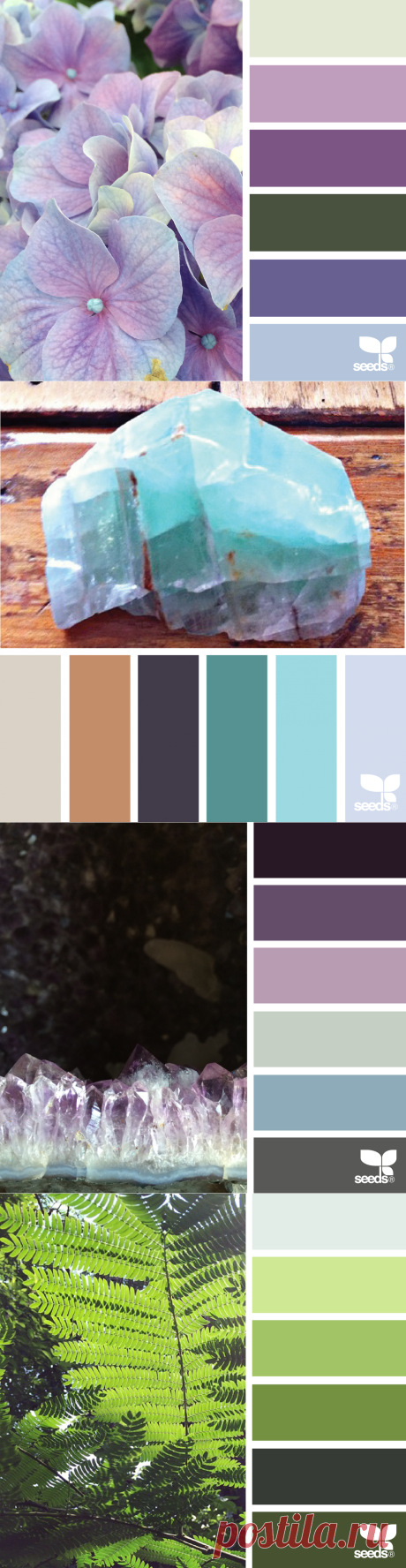 design seeds | for all who ♥ color