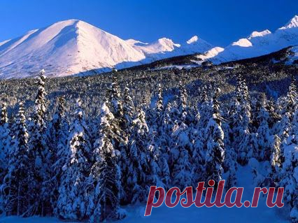 Общество Патриотов России – Сообщество – Google+