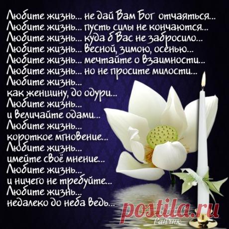 • *¨`* •. ¸• *¨`* •.¸