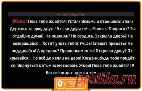 (78) Одноклассники живи пока тебе живется.